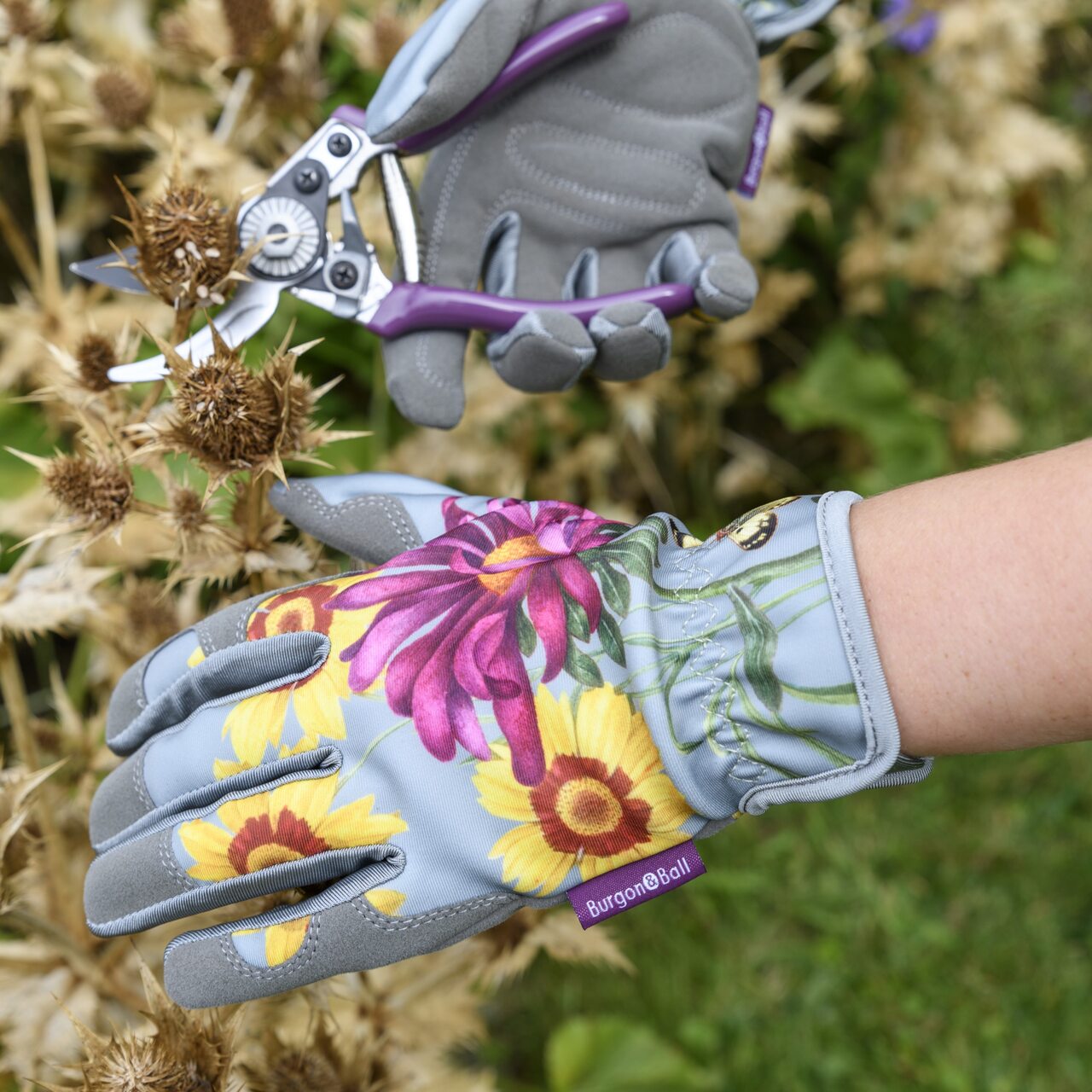 Sommeraster Gartenhandschuhe mit der kleinen Gartenschere