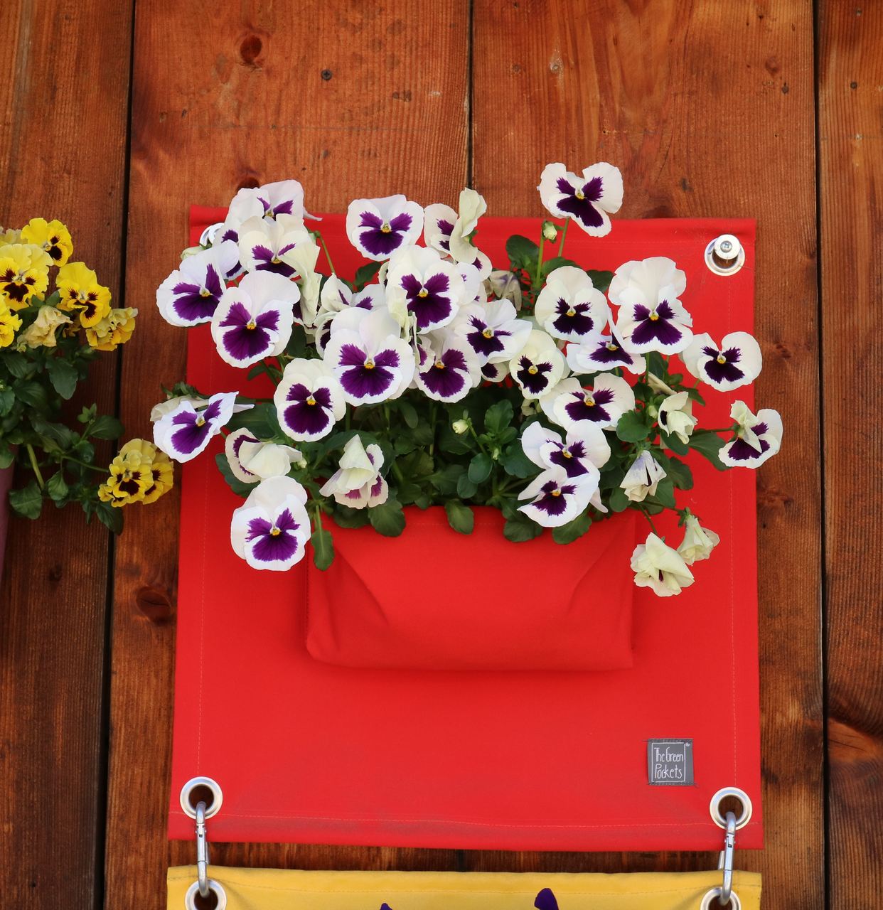 Pflanztasche Amma rot im Frühling