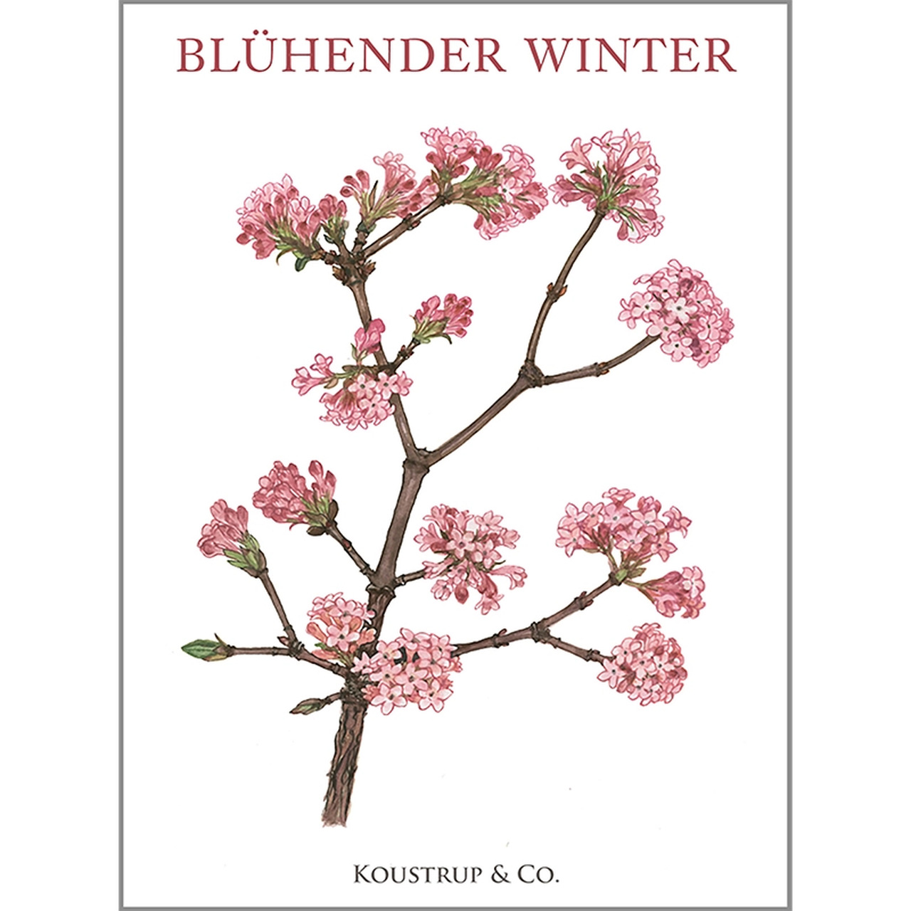 Die Vorderseite der Winterblüten-Mappe mit einem Auszug der Illustrationen | von Koustrupco | Umweltfreundlich hergestellt in Europa