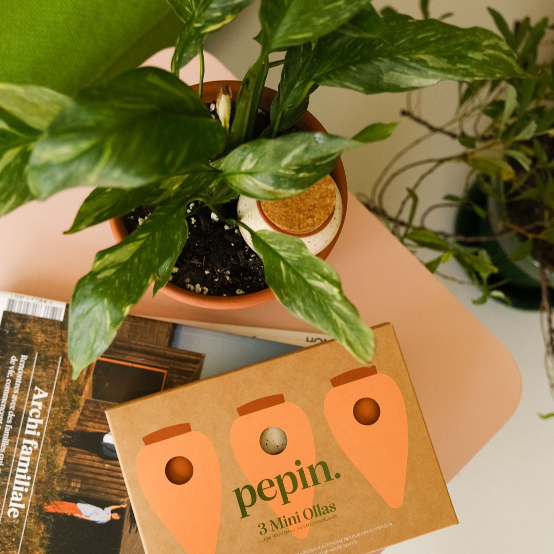 Die Box der drei Mini-Ollas