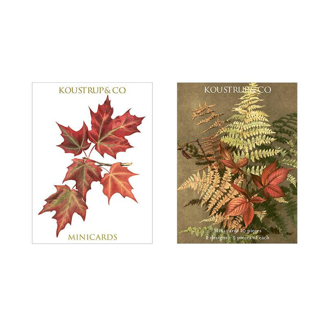 Farne u. Blätter in Herbstfarben | Vorder- und Rückseite der Minikarten-Box von Koustrupco | Inhalt: Je 5 kleine Doppelkarten mit diesen beiden Herbstmotiven.