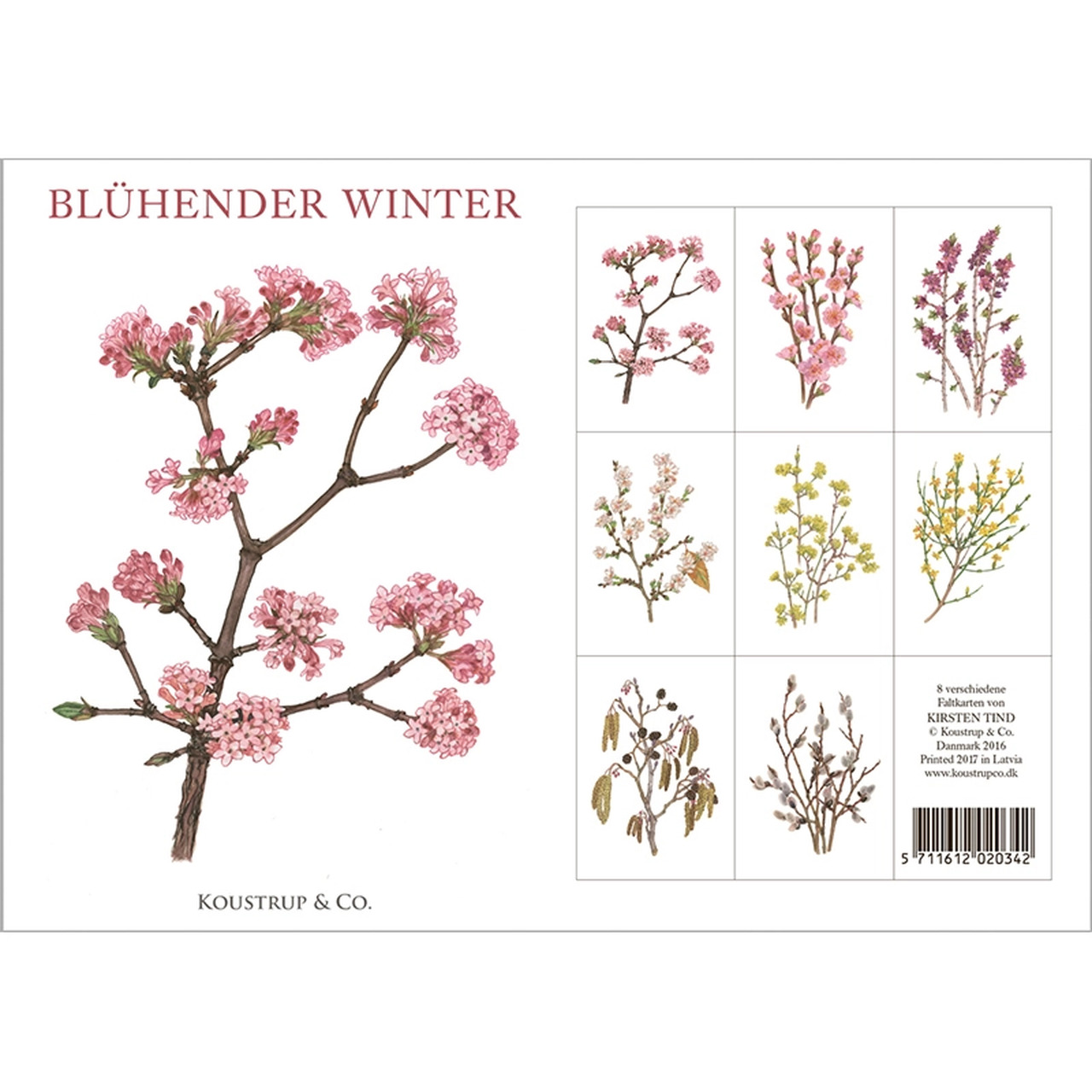 Vorder- und Rückseite der Winterblüher-Kartenmappe | Karten aus umweltzertifiziertem FSC-Papier | Umschläge aus umweltfreundlichem Eukalyptuspapier