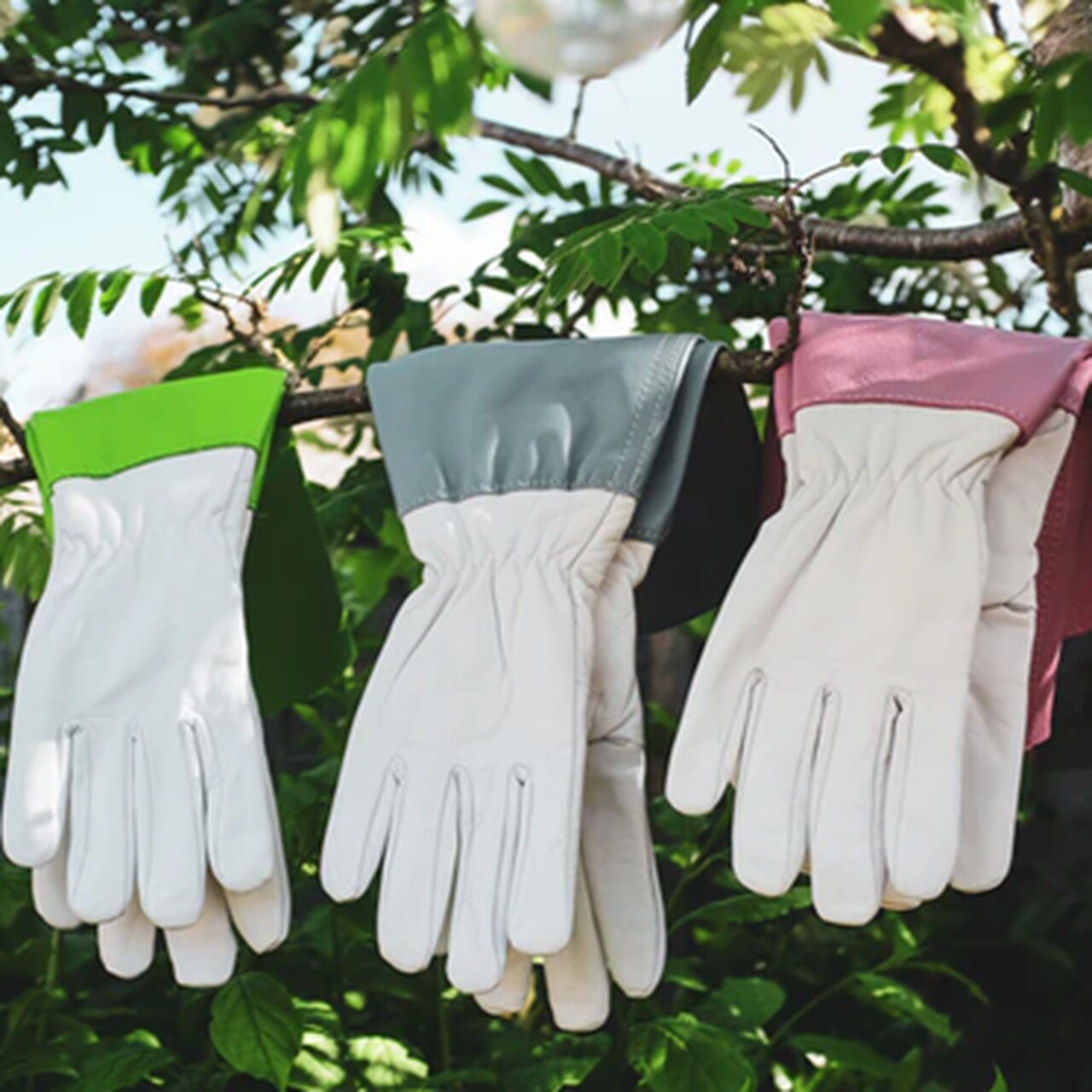 Bradleys Lederhandschuhe Anti-Brombeer |Hände weiß | Stulpen in Grün, Babyblau und Pink