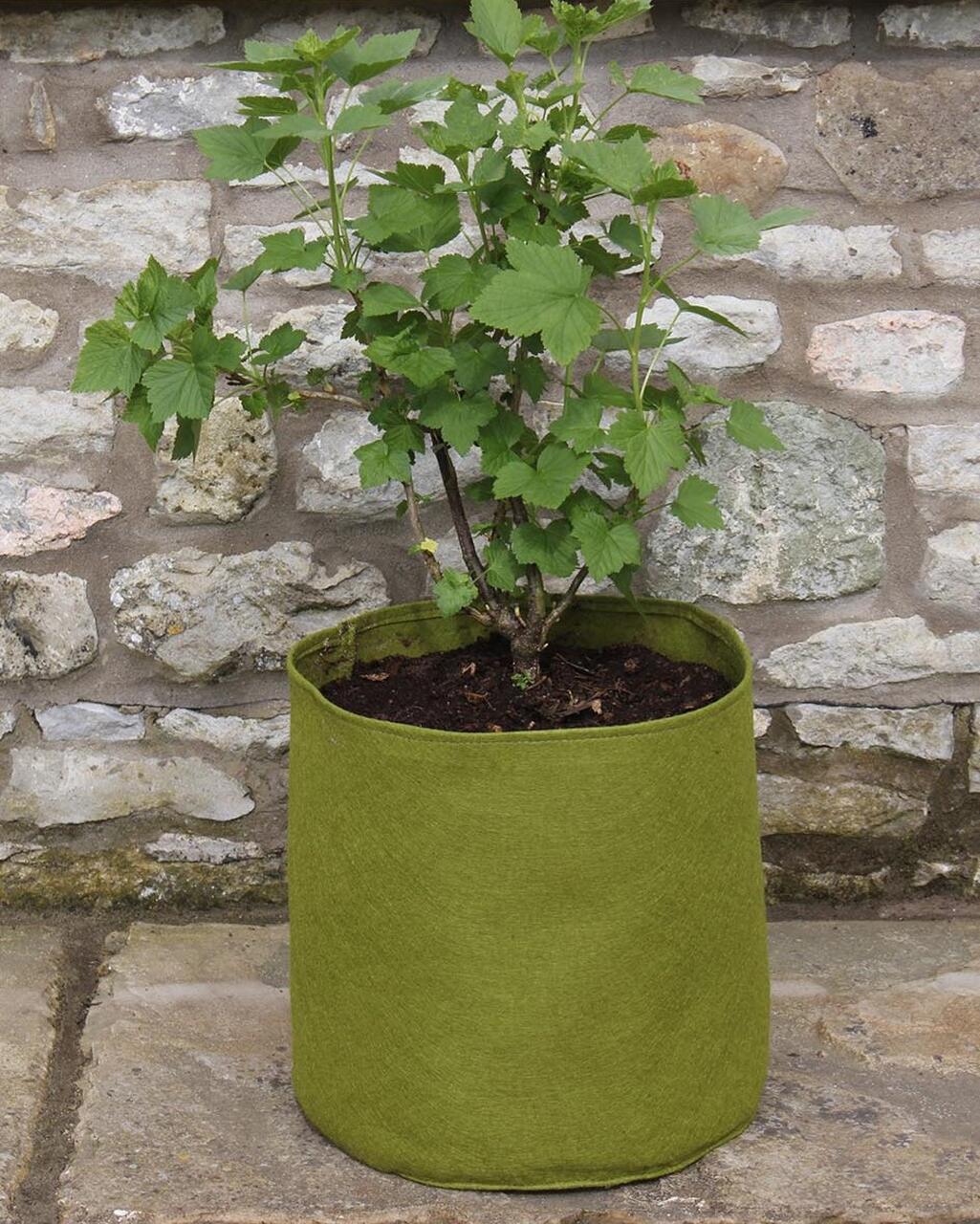 Vigoroot 20 Litre Pot | Haxnicks | Tildenet