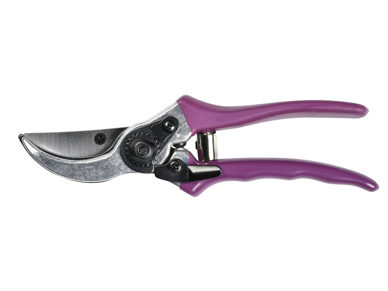 Sommeraster - Bypass-Gartenschere | von Burgon & Ball