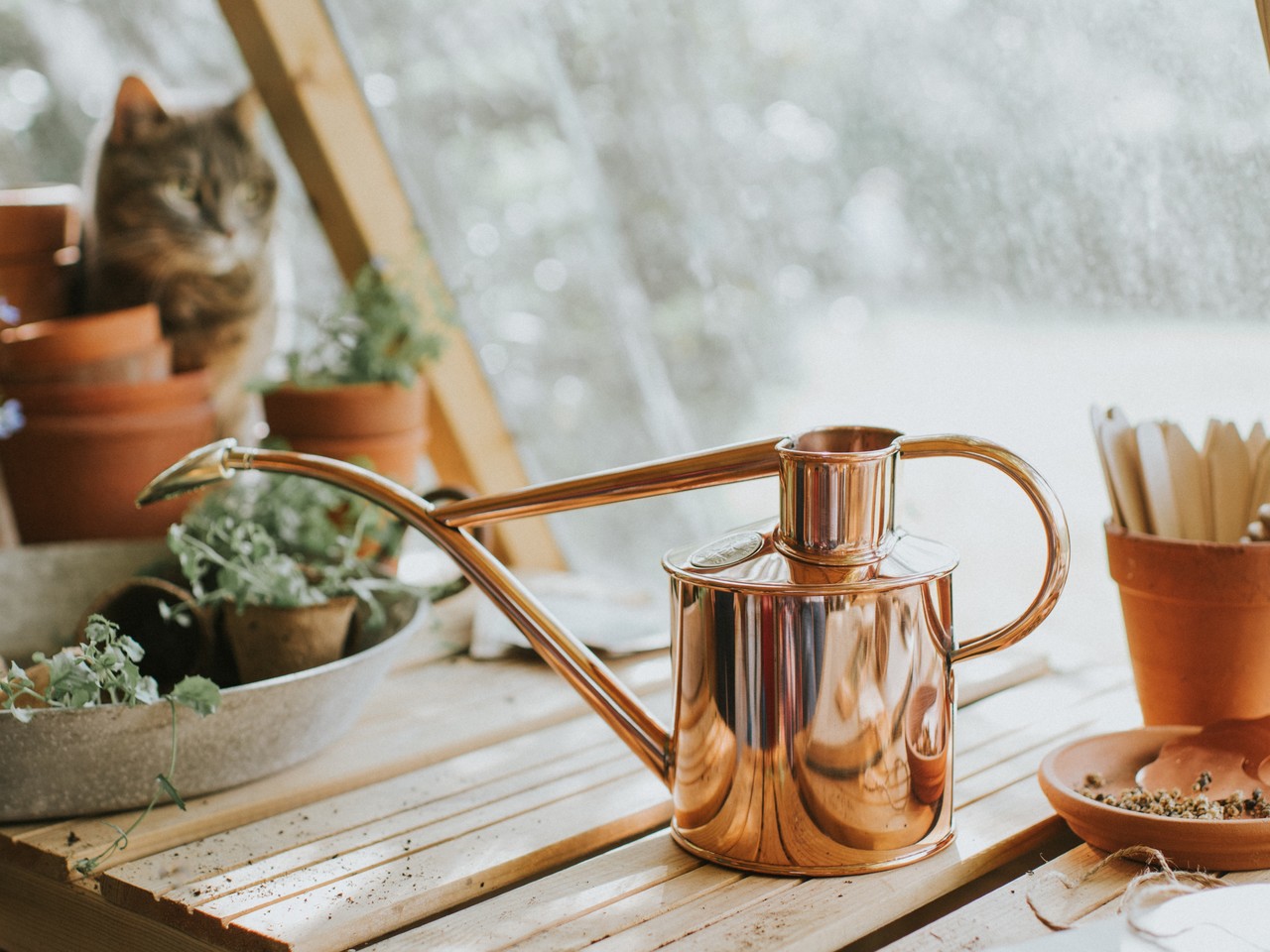 Haws Classic-Zimmergießkanne in Kupfer