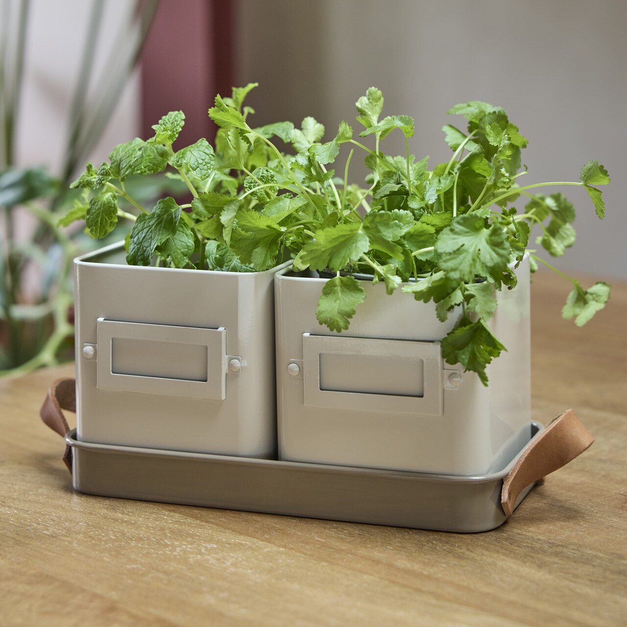 Kräutertöpfe 2er-Set | helles Beige | von Burgon & Ball