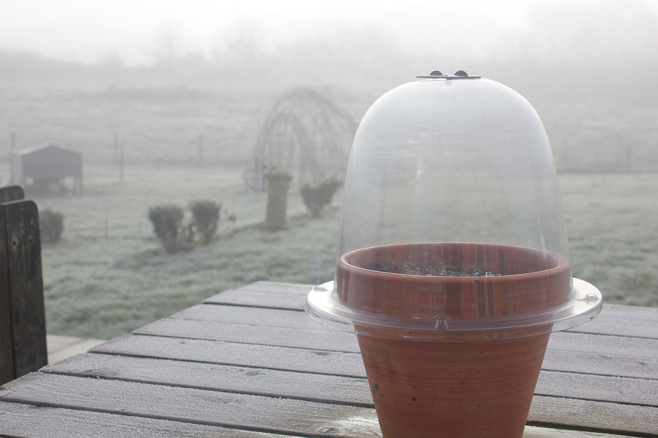 Baby Bell - kleine Garten-Glocke als Kälteschutz über einem Tontopf