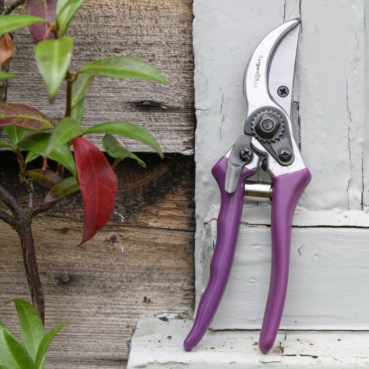Gartenschere | von Burgon & Ball | für Holz bis zu 2,5 cm Ø