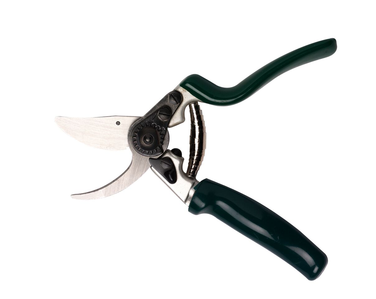 Profi Bypass-Gartenschere mit Rollgriff