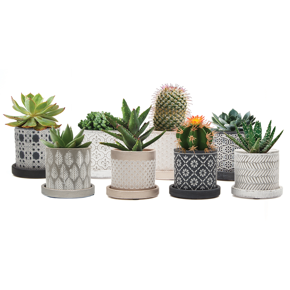 Pflanztöpfchen Balter | Keramik