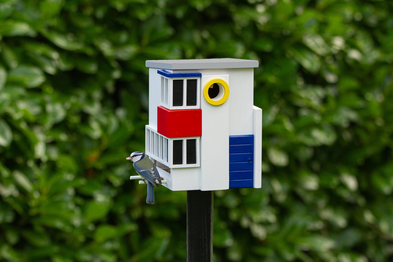 Vogelhaus | 2 in 1 | De Stijl - niederländische Kunst- u. Architekturbewegung | Wildlife Garden