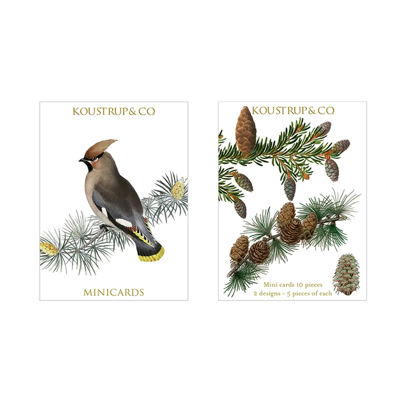 Zweige & Zapfen und der Wintervogel Seidenschwanz | Vorder- und Rückseite der Minikarten-Box von Koustrupco | Inhalt: Je 5 kleine Doppelkarten mit diesen beiden Winter-Motiven (ohne Hersteller und Beschriftungen)