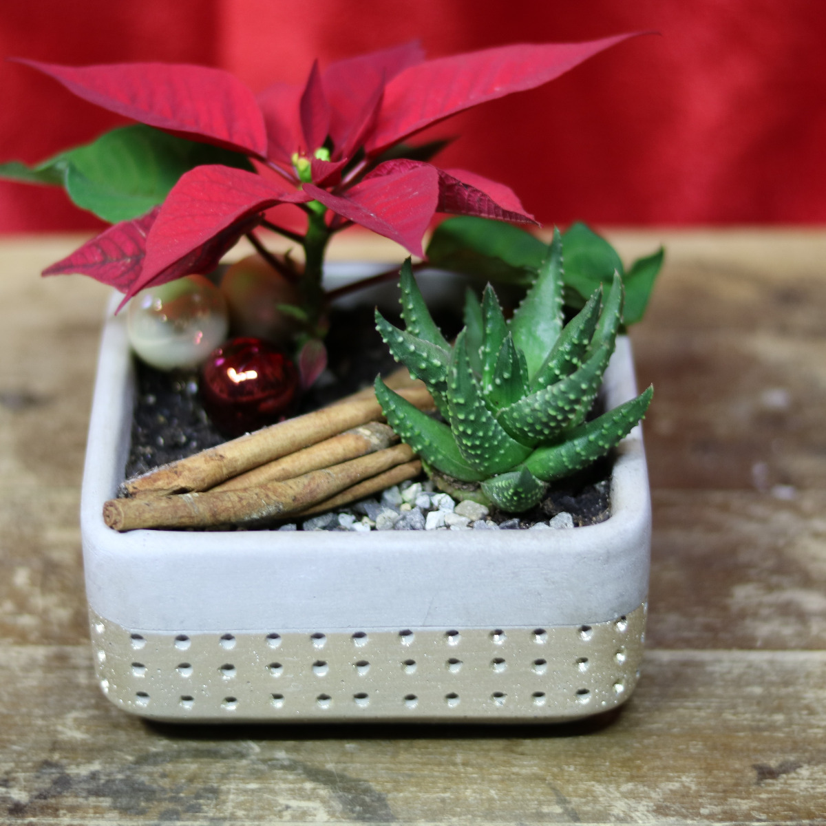 Winterliche Merak Pflanzschale Gold