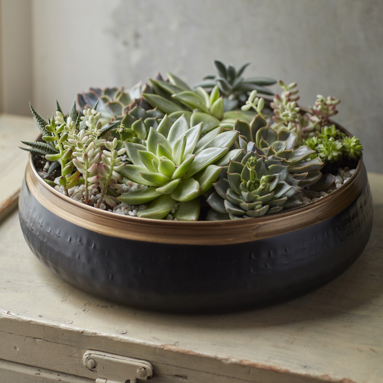 Statement-Schale SAHARA SUNSET | gefüllt