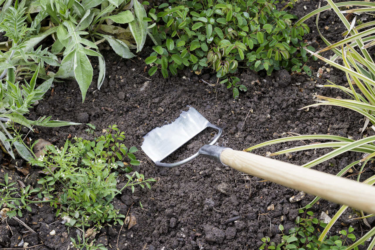 Dutch Hoe | Schuffel | aus Edelstahl mit langem Holzstiel | von Burgon & Ball
