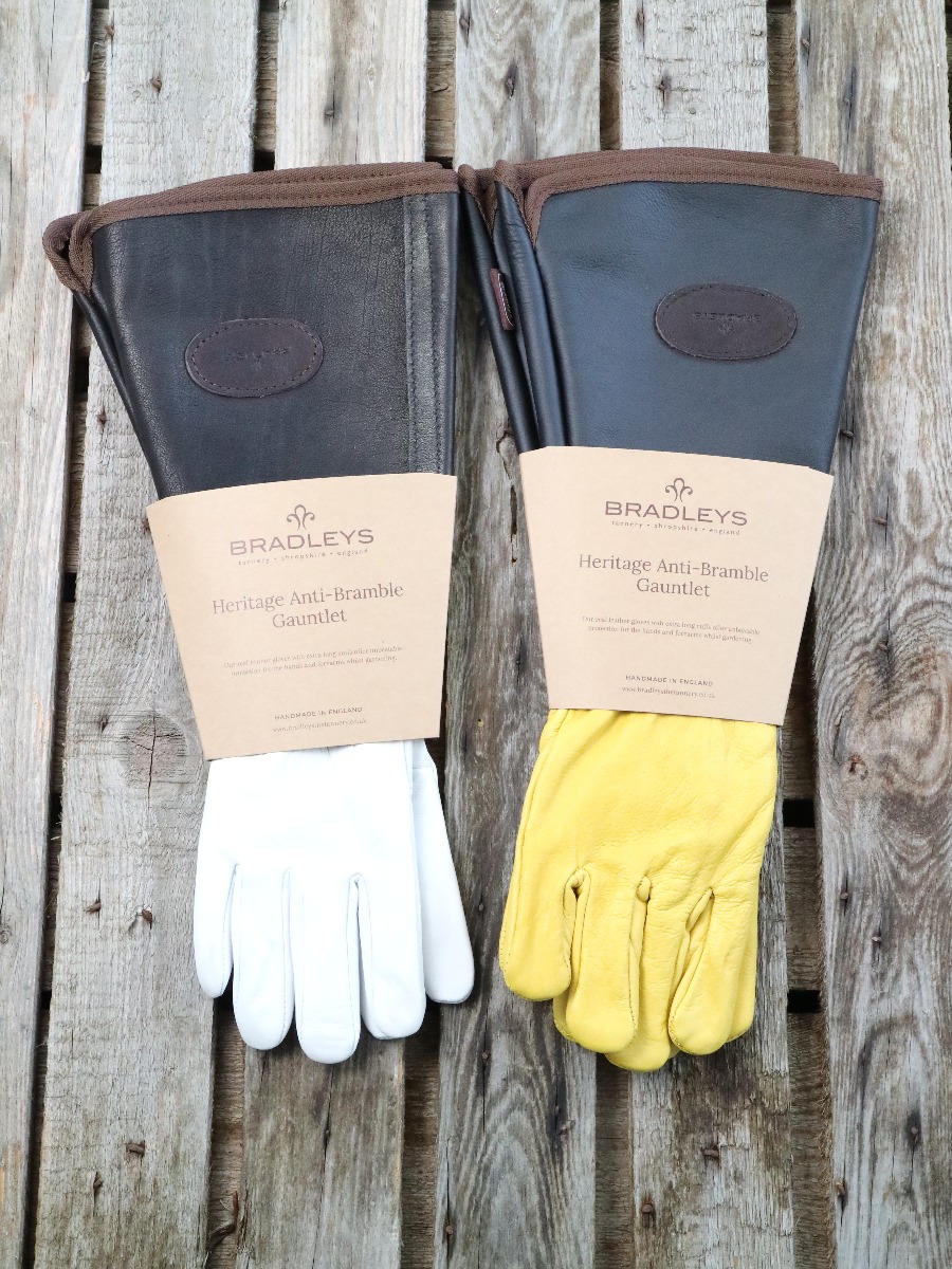 Bradley's Anti-Brombeerhandschuhe