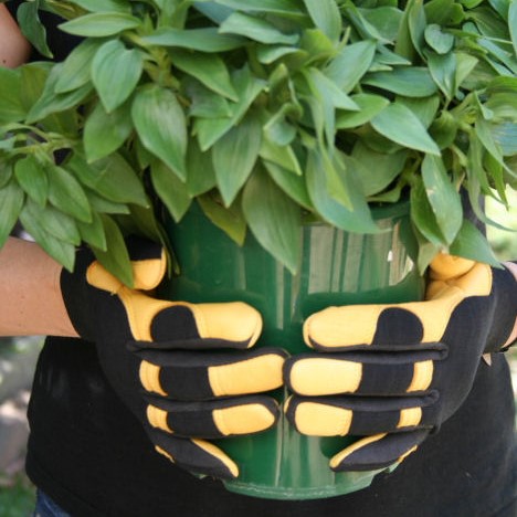 Soft Touch™ | Gold Leaf Leder-Gartenhandschuhe